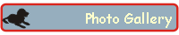 Photo Gallery-